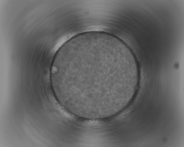 X0000111520834200908251135