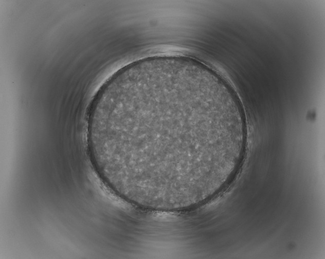 X0000111520835200908251135