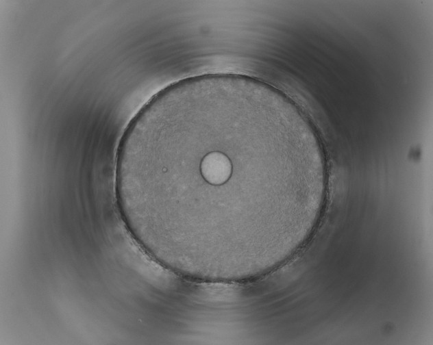 X0000111520836200908251135