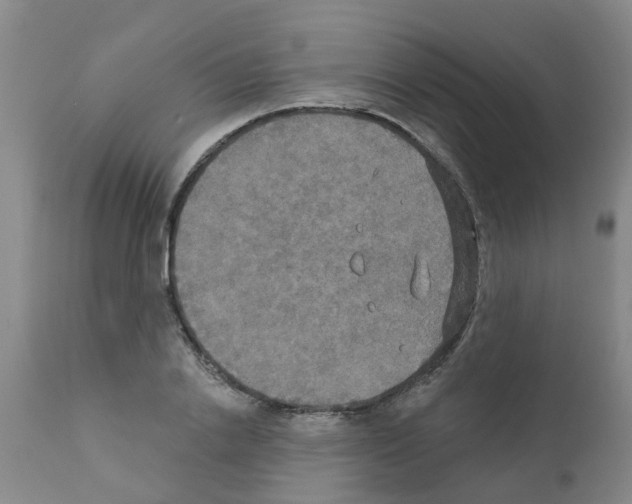 X0000111520838200908251135