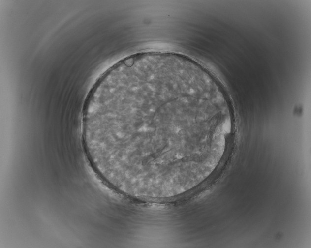 X0000111520839200908251135