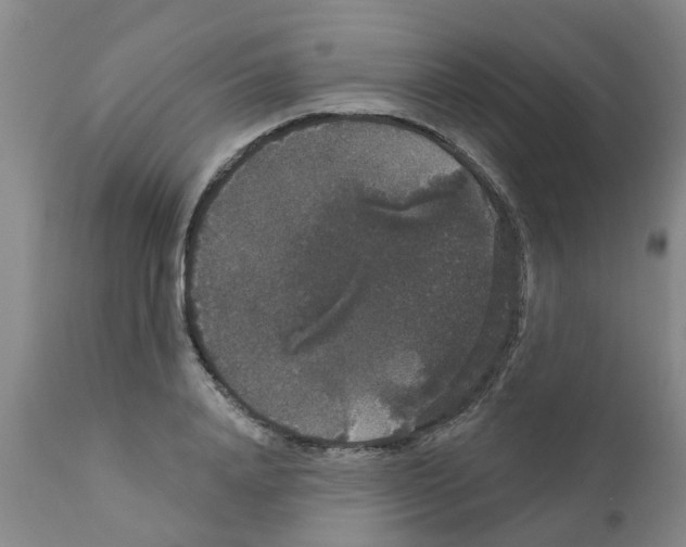 X0000111520840200908251135