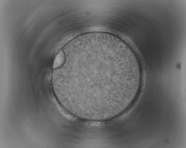 X0000111520841200908251135