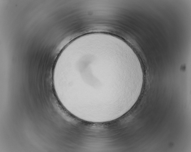 X0000111520842200908251135