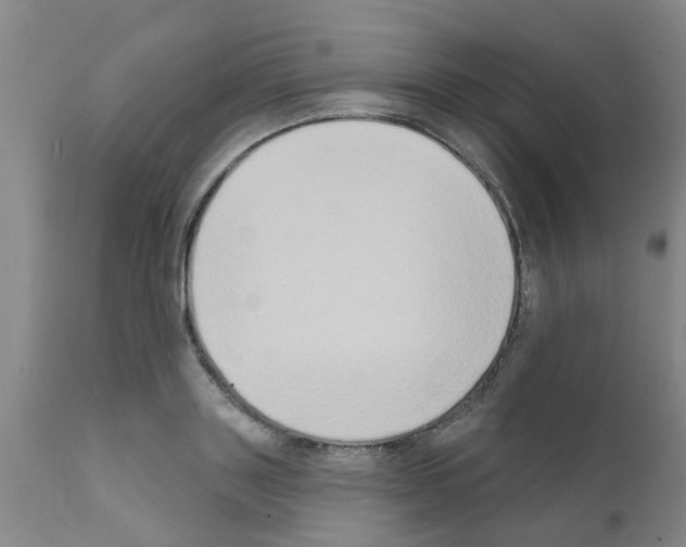 X0000111520843200908251135