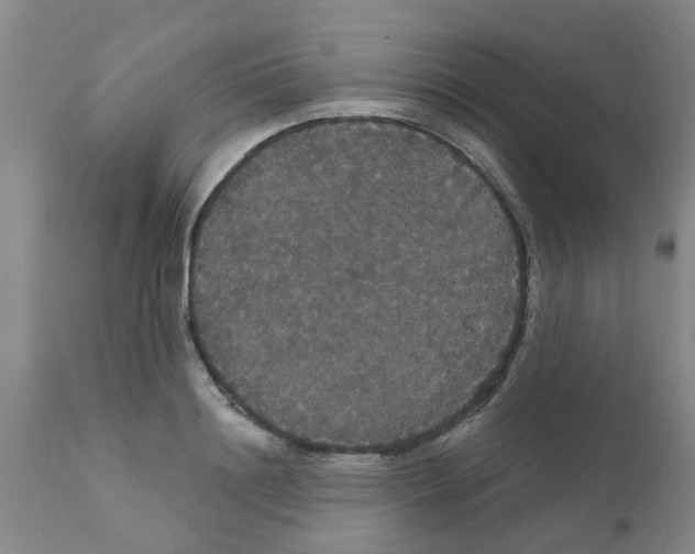 X0000111520844200908251135
