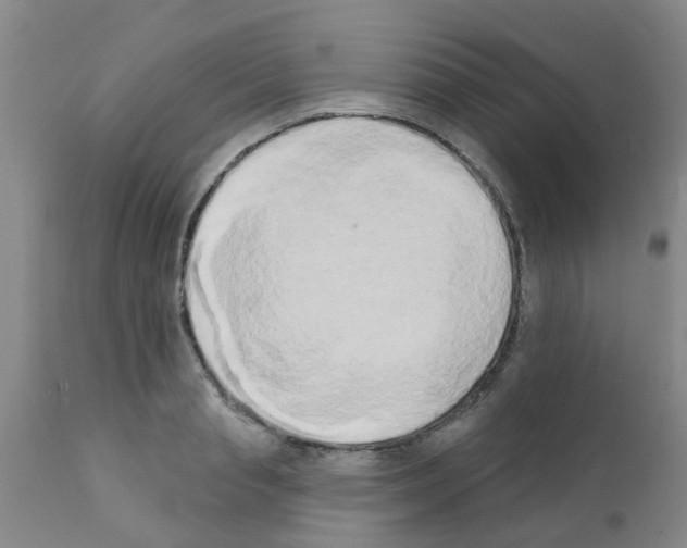 X0000111520845200908251135