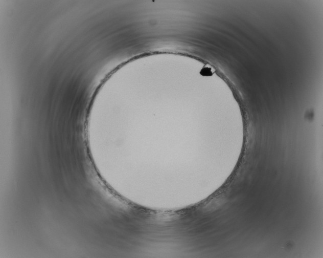 X0000111520848200908251135
