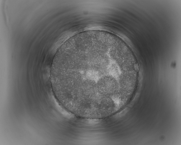 X0000111520849200908251135
