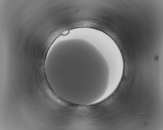 X0000111520850200908251135