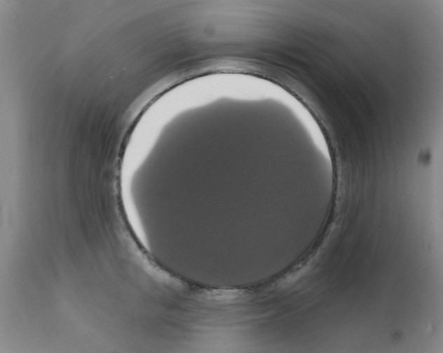 X0000111520853200908251135