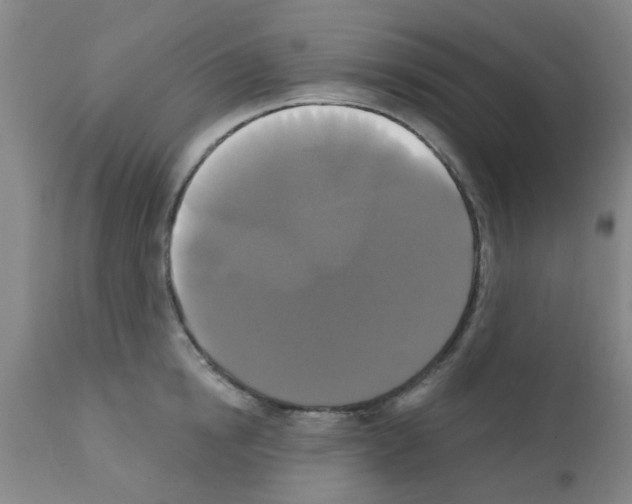 X0000111520854200908251135