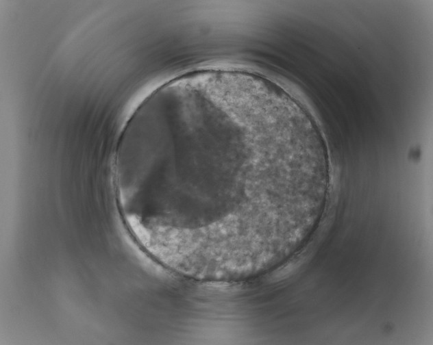 X0000111520855200908251135