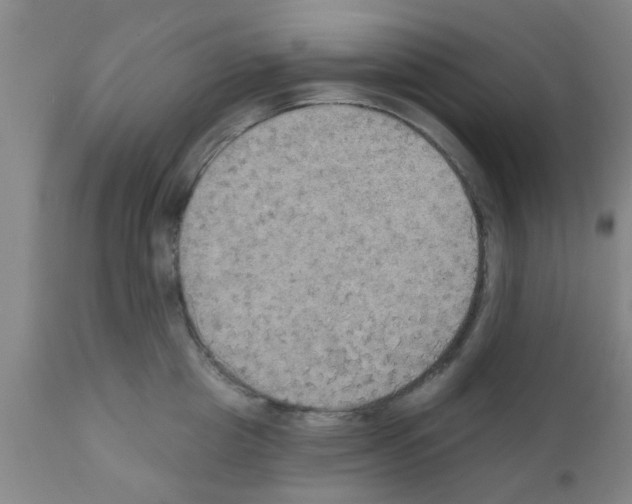 X0000111520857200908251135