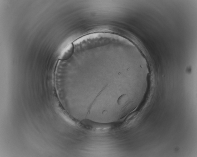 X0000111520858200908251135