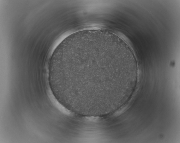 X0000111520859200908251135