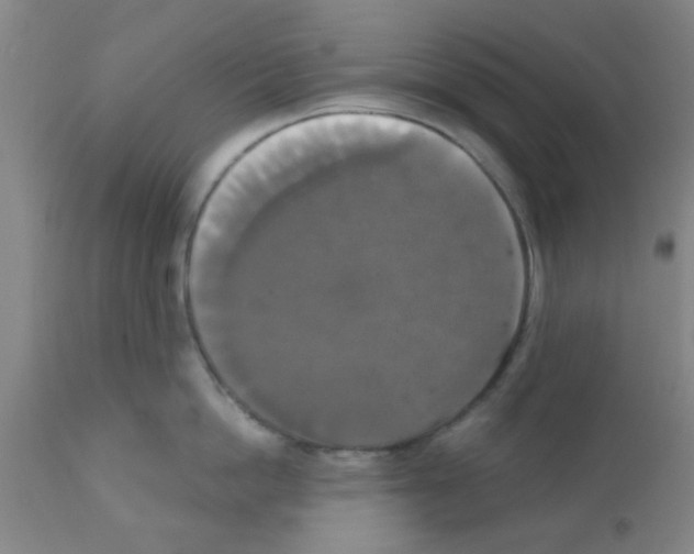 X0000111520862200908251135