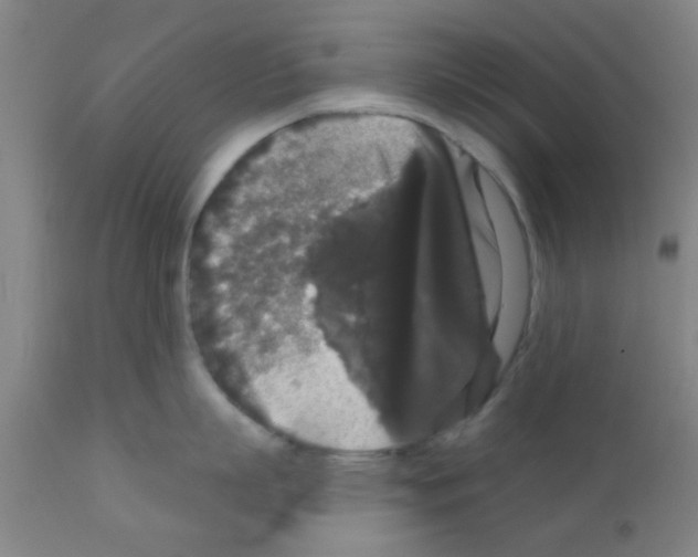 X0000111520863200908251135