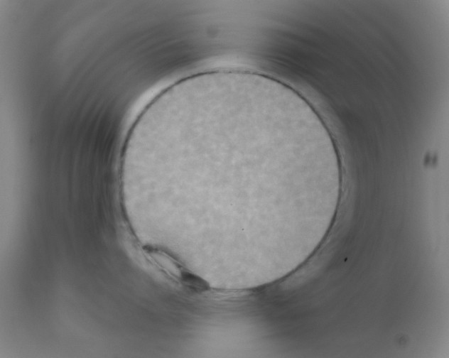 X0000111520864200908251135