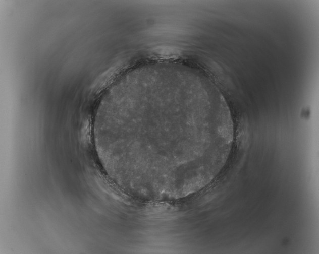 X0000111520866200908251135