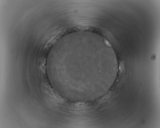 X0000111520867200908251135