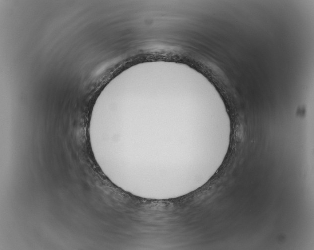 X0000111520869200908251135
