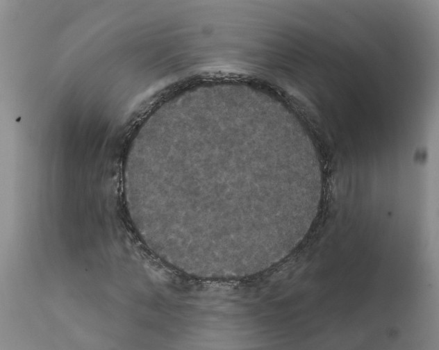 X0000111520870200908251135
