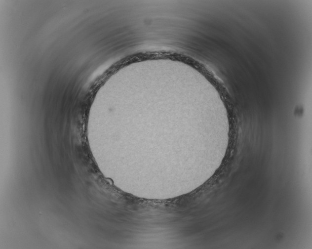 X0000111520871200908251135