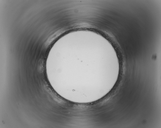 X0000111520873200908251135