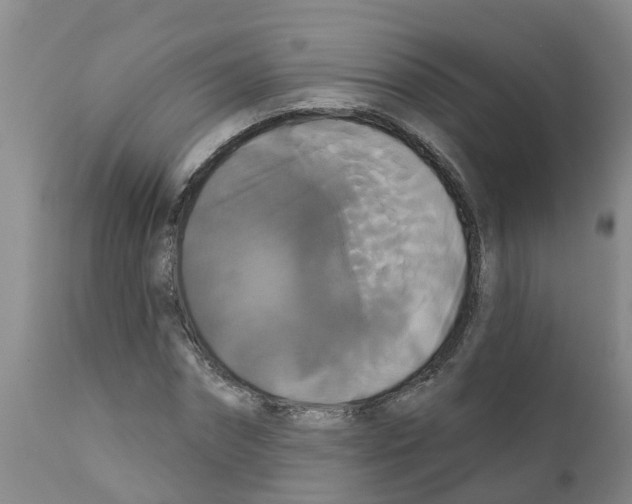 X0000111520874200908251135