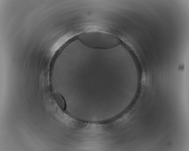 X0000111520877200908251134