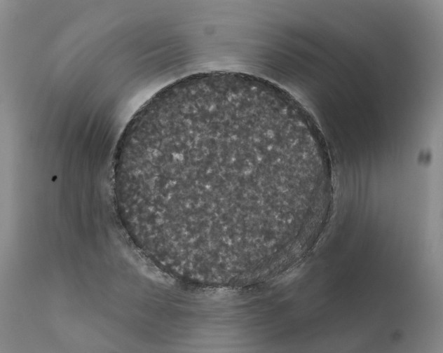 X0000111520879200908251134