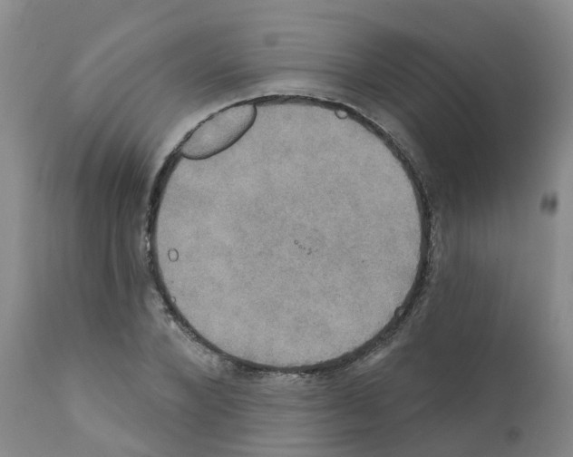 X0000111520880200908251134