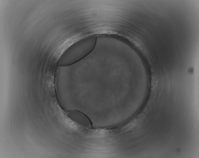 X0000111520881200908251134