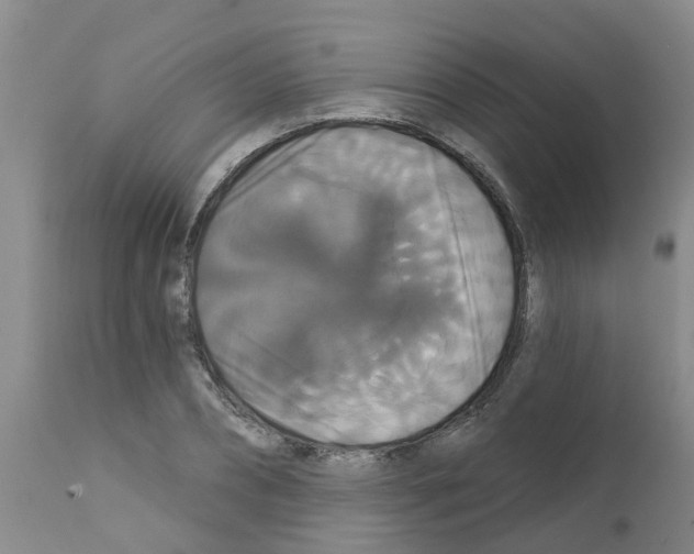 X0000111520882200908251134