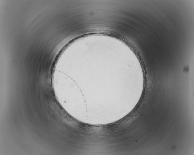 X0000111520883200908251134