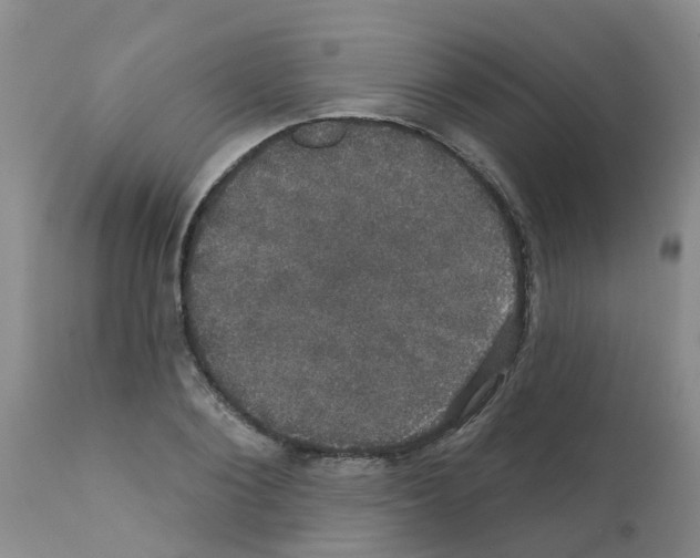 X0000111520884200908251134