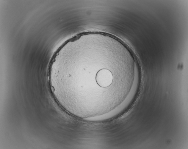 X0000111520885200908251134