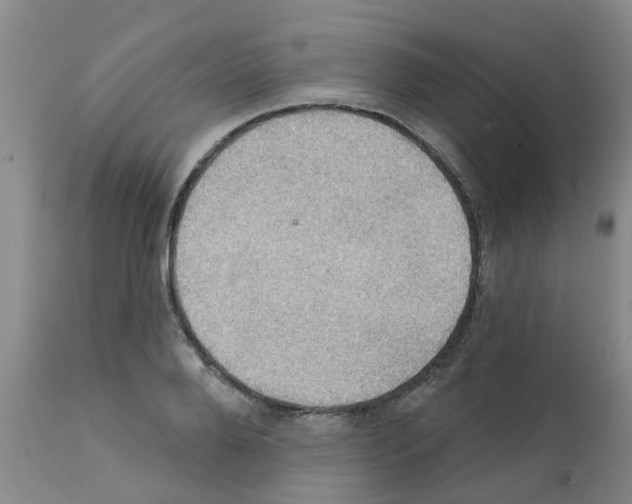 X0000111520888200908251134