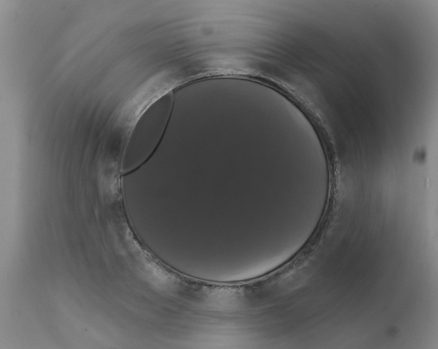 X0000111520889200908251134