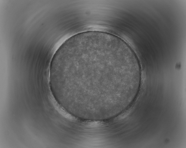 X0000111520891200908251134