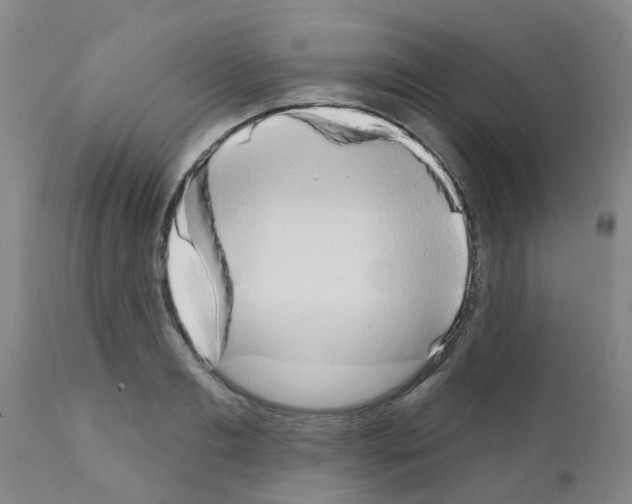 X0000111520893200908251134