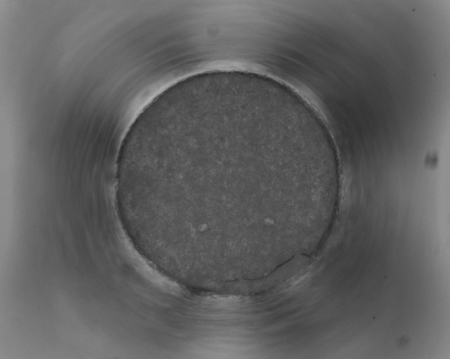 X0000111520895200908251134