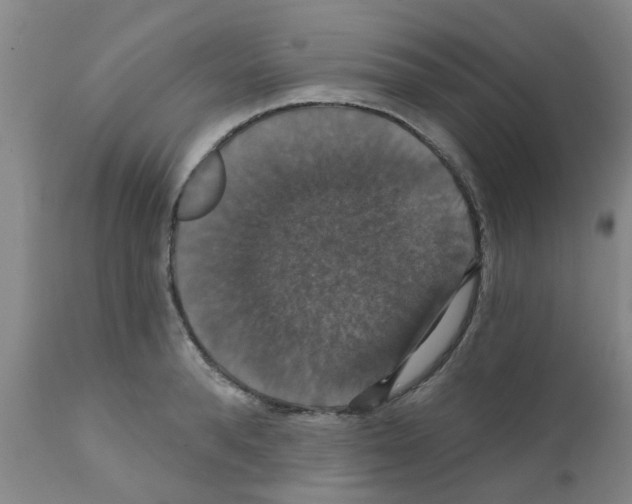 X0000111520896200908251134
