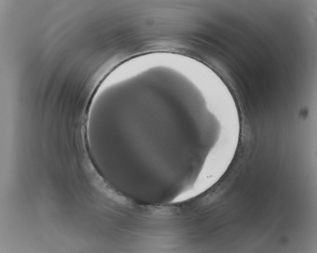 X0000111520899200908251134