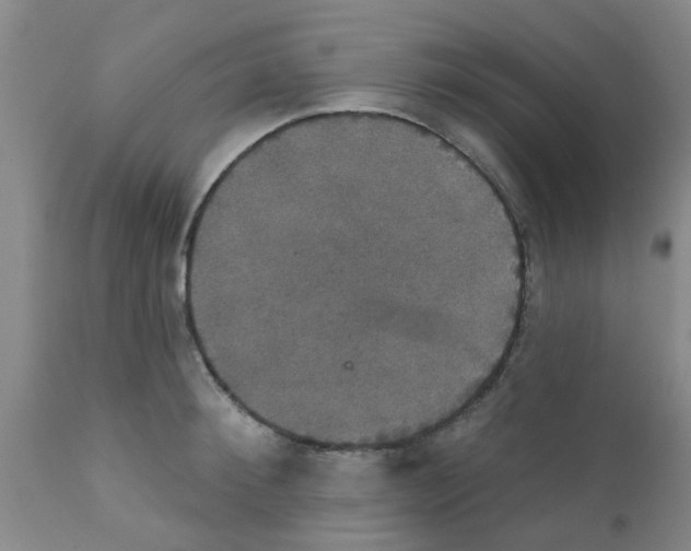 X0000111520900200908251134