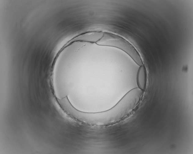X0000111520901200908251134