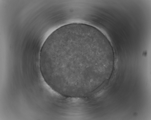 X0000111520903200908251134