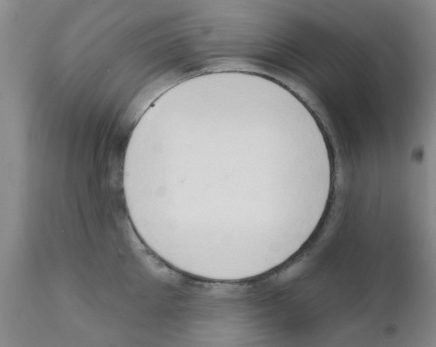 X0000111520905200908251134