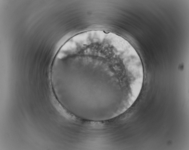 X0000111520907200908251134
